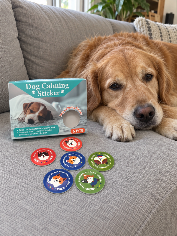 Golden retriever resting calmly for NeuroPet's guide to helping dogs afraid of fireworks