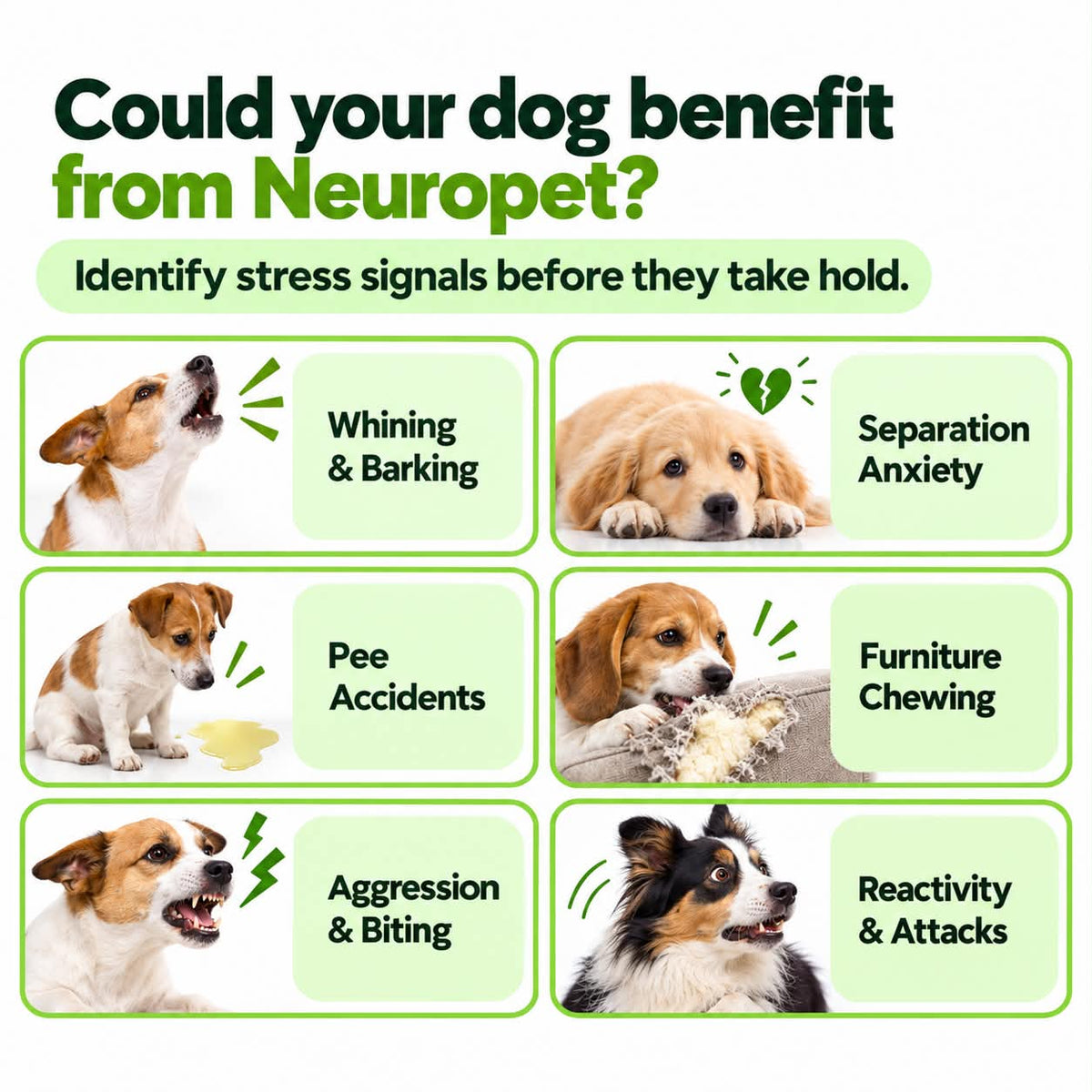 NeuroPet Calming Stickers for Dogs