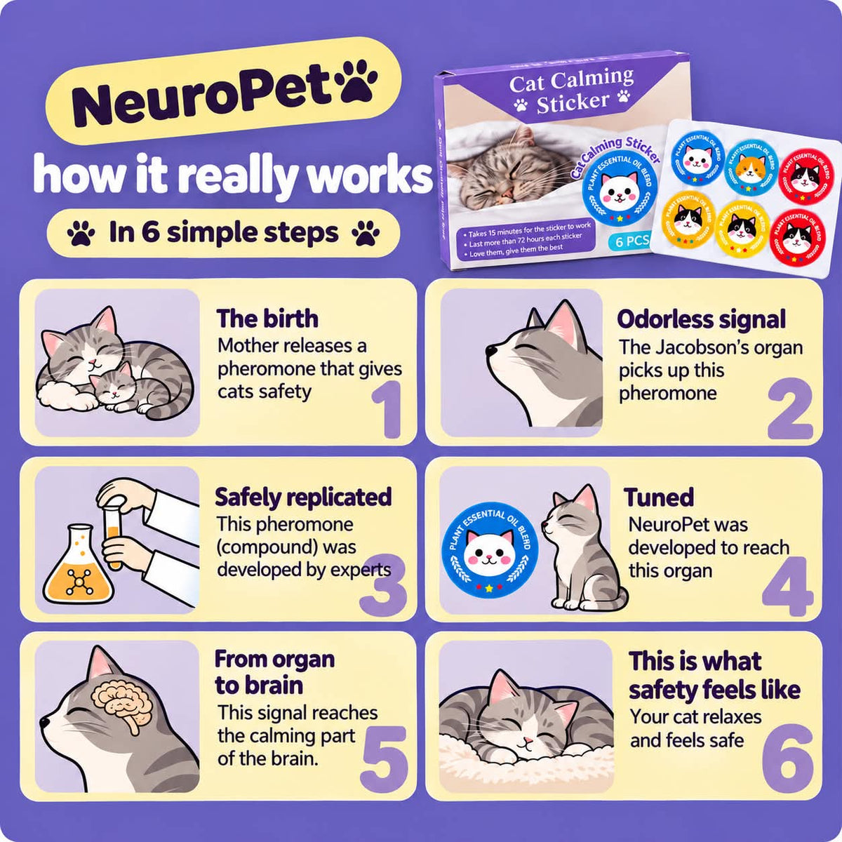 NeuroPet cat calming stickers six-step illustrated explanation