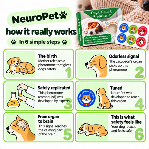 NeuroPet Calming Stickers for Dogs