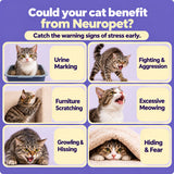 Cat stress signs infographic