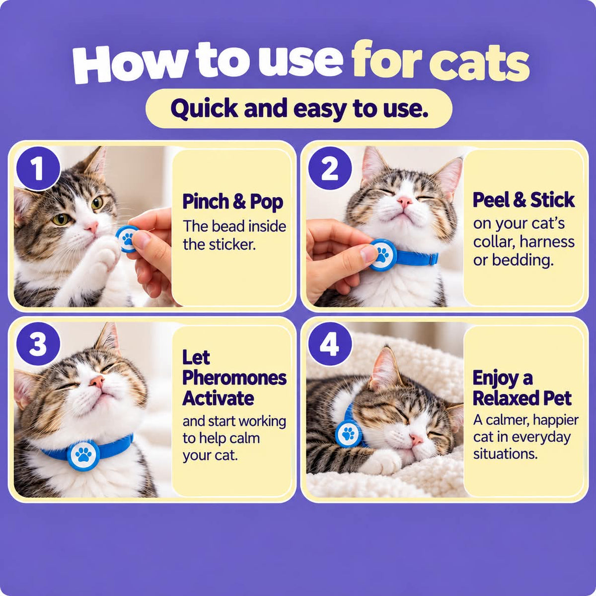 How to use NeuroPet calming stickers for cats