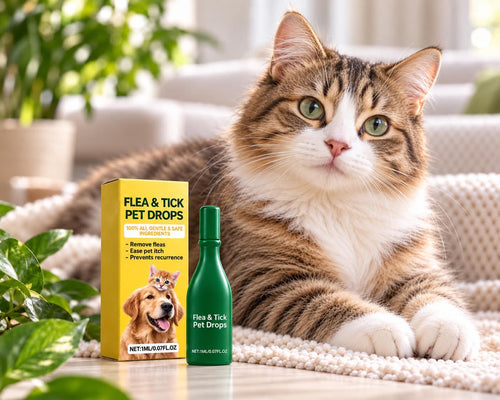 Flea and tick pet drops box and green applicator beside a resting tabby cat