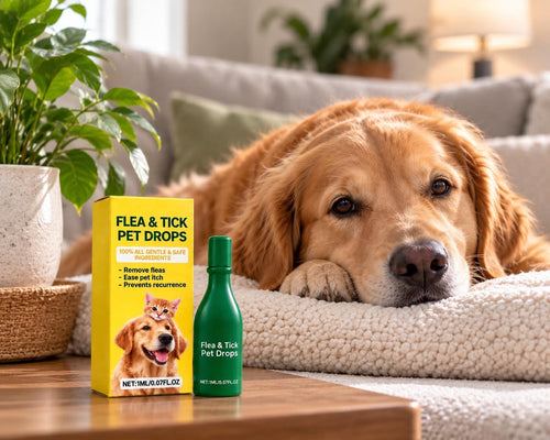 Flea and tick pet drops packaging beside a resting golden retriever