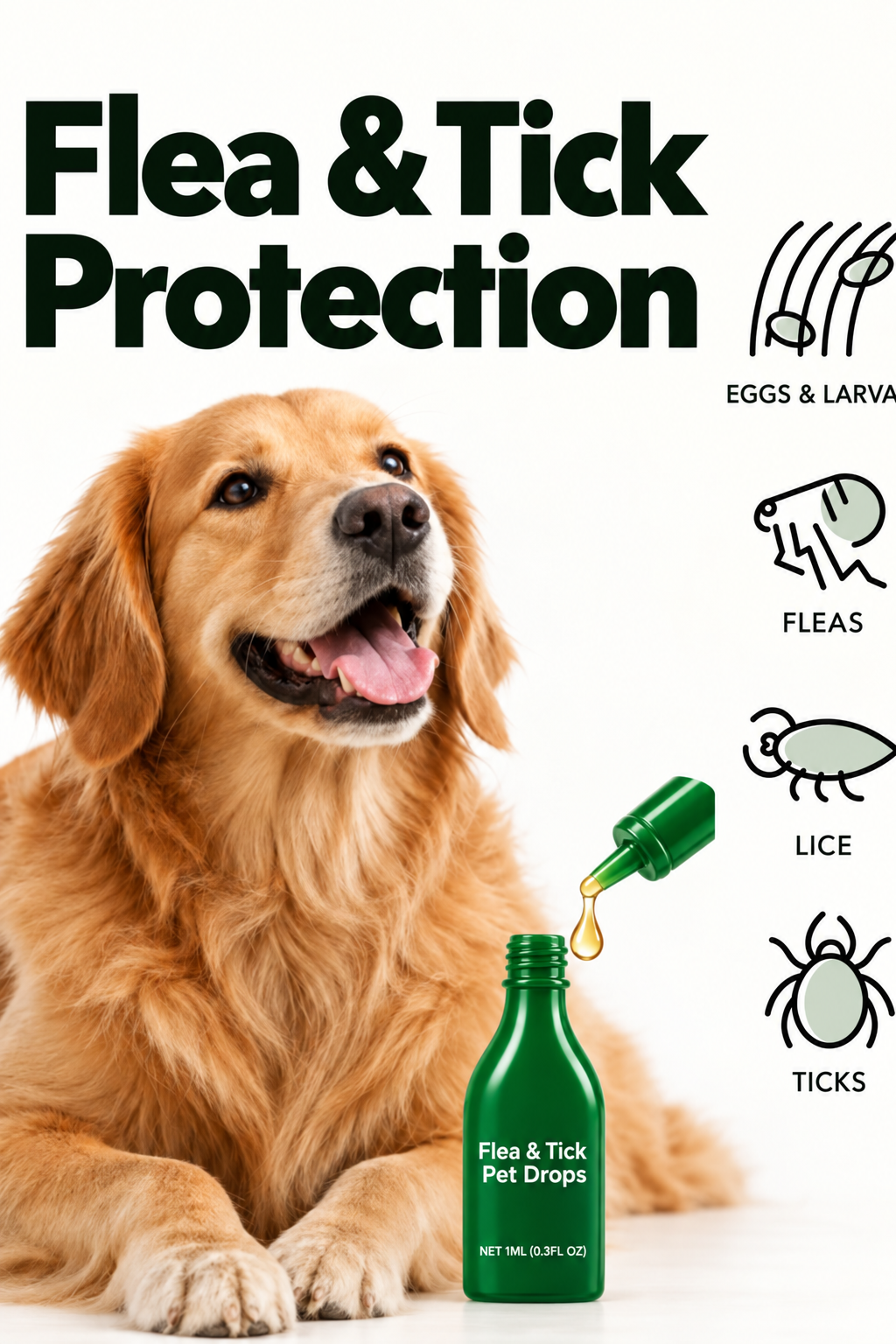 Applying flea and tick drops to a dog