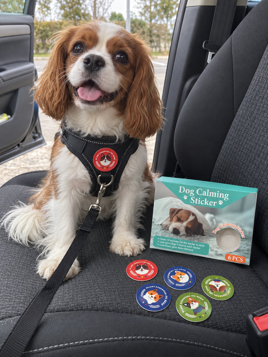 Spaniel and calming stickers ready to travel