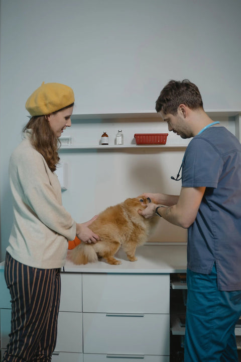 Pet owner comforting a dog during a veterinary visit. Photo by Tima Miroshnichenko on Pexels.